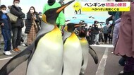 ペンギンたちが特訓 初詣上手にできるかな【福井】