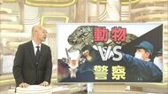 動物 VS 警察 仁義なき捕物劇 なぜ警察官が動物を追うの?