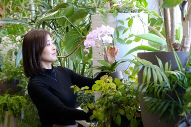 贈られた方の負担を少なく、皆でシェアできるものに。胡蝶蘭を現在のスタイルにした第一園芸が考えた、テレワークが増えた企業でも喜ばれるお祝い花