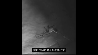 花王の化粧品研究者がみつけた「蚊に刺されない」ヒント ~世界の人々を、蚊によってかかる感染症から守る技術開発の舞台裏~