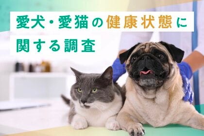 【幼齢ペットは誤飲に注意】愛犬・愛猫の健康状態に関する調査