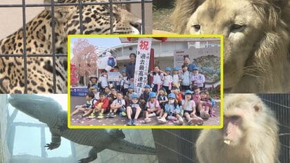 「サル14匹脱走」「コロナ禍」を経て　34年ぶりに最多入園記録を更新した沖縄こどもの国のあゆみ