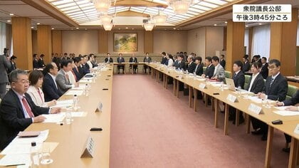 皇室典範改正案の要綱を了承　国会での付帯決議が前提