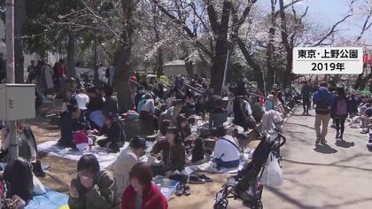 都立公園での花見宴会　4年ぶりに解禁　東京都、今年は自粛求めず