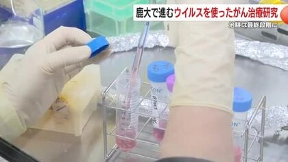 鹿児島大学で進むウイルスを使ったがん治療研究　治験は最終段階に