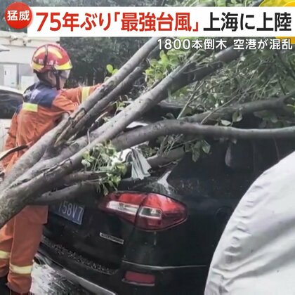 75年ぶり「最強台風」上海に上陸　強風で“甚大な被害”…1800本倒木3万軒で一時停電が発生　1400便欠航で空港が混乱…中秋節に打撃