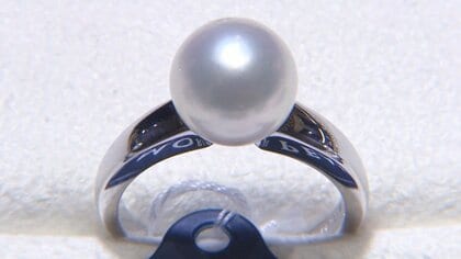 宮城県で真珠生産？海水温上昇で養殖の道が開けるか 専門家「可能性はある」【宮城発】