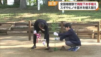 全国植樹祭で天皇皇后両陛下お手植えの苗木を松山の林に植え替え　「お野立所」グッドデザイン賞に【愛媛】