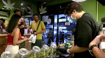 タイの医療大麻解禁 「医療」「経済」にもたらすものは　娯楽目的の違法使用も…求められる早急な法整備