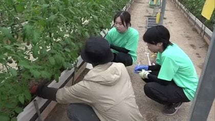 実際来てみて“島の農業”を知ってほしい…小豆島で大学生対象の「農業インターンシップ」【香川・土庄町】