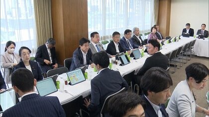 衆院議員定数削減「比例のみ45議席減」　自民が意見集約　超党派協議会で今後1年以内に結論が出ない場合