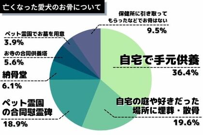 愛犬が亡くなったら葬儀どうする トラブルがあった人も 犬の飼い主691人に大調査