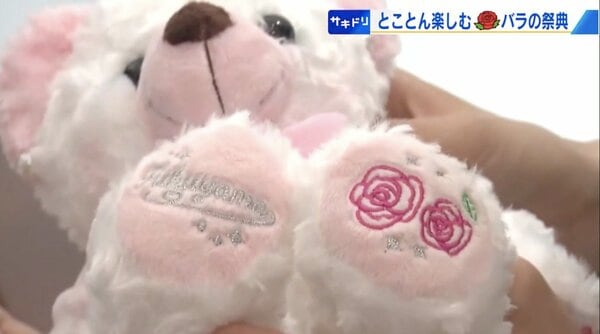 ご当地ベア 福山薔薇ベア Lサイズ 廃盤 激レア ご当地ベア 福山薔薇ベア Lサイズ 廃盤 激レア（SHOWROOM
