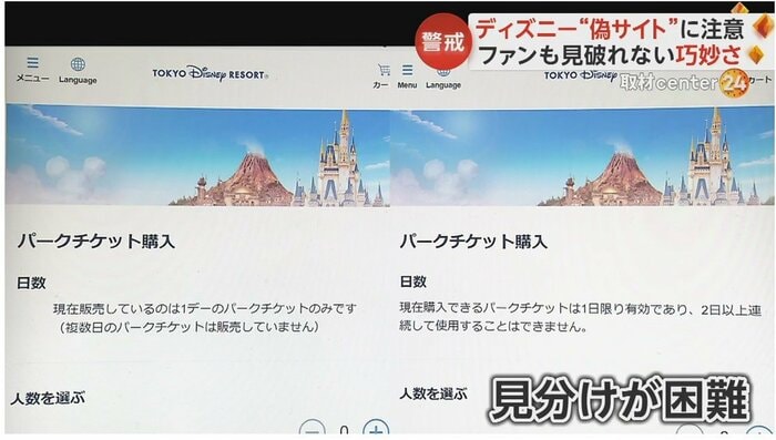 見分けることは困難なほどそっくり