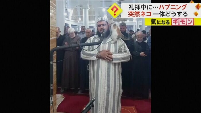 ネコが指導者の肩に乗っている（The Official Page Of Sheikh Walid Mehsas）