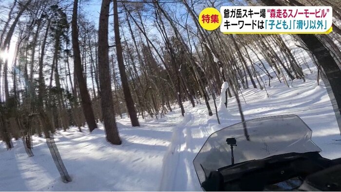 森の中を走る