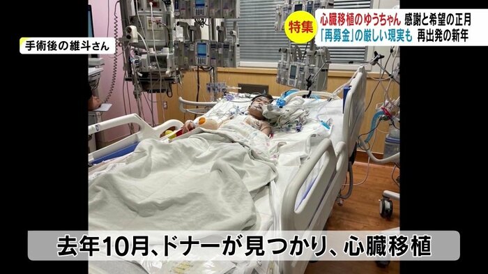 提供写真