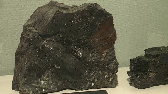 亜炭(三本木亜炭記念館展示)