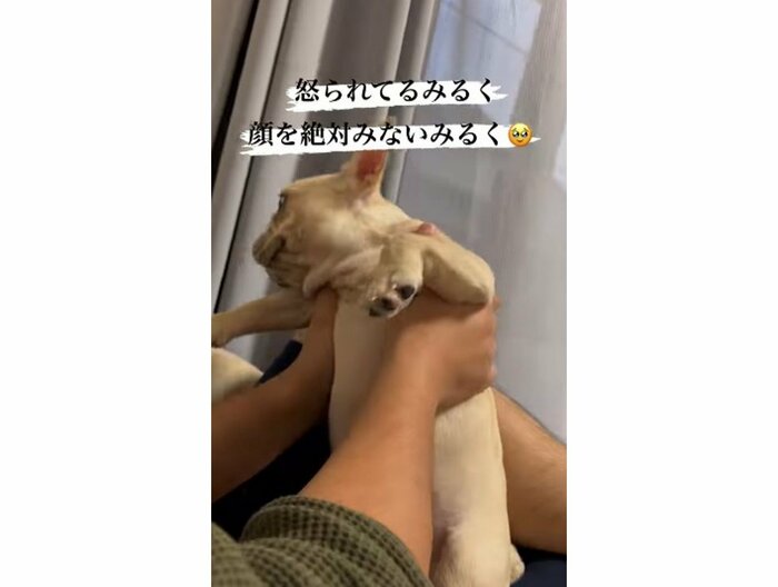 提供:みるくちゃん