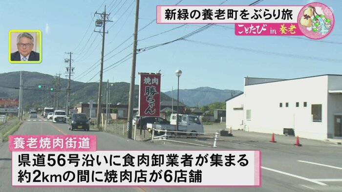 ニュースONE