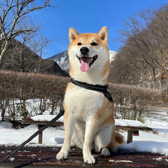 栗太郎くん