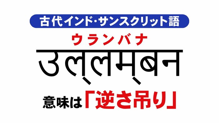 ニュースONE