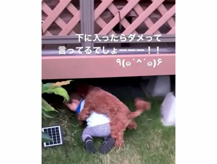 軒下に入ろうとする男の子(提供:pontagon0518さん)