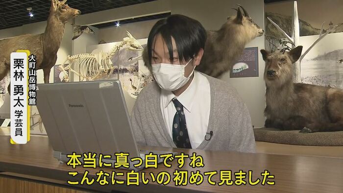 大町山岳博物館・栗林勇太学芸員