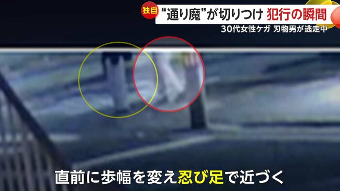 歩幅を狭め、忍び足で近づくように見えた