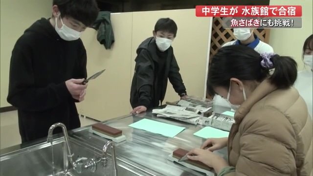 包丁研ぎに挑戦する中学生たち