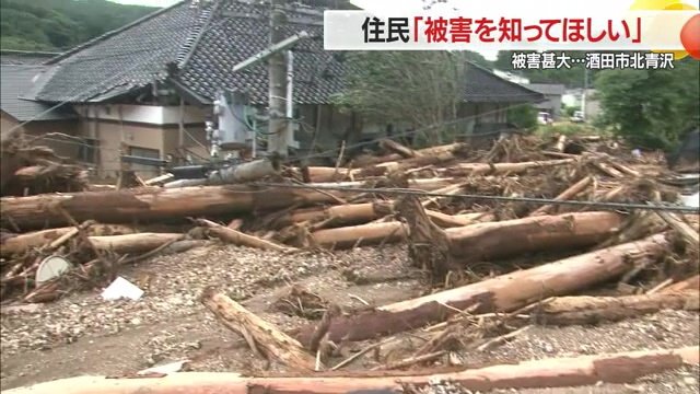 大量に流れ込んできた大木