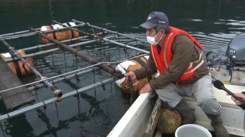 穴水町特産のカキは今… 地震後初 漁師が忍びがたい思いを抱え船で養殖場の被害確認へ…「あーダメだ…こりゃダメだ」｜FNNプライムオンライン