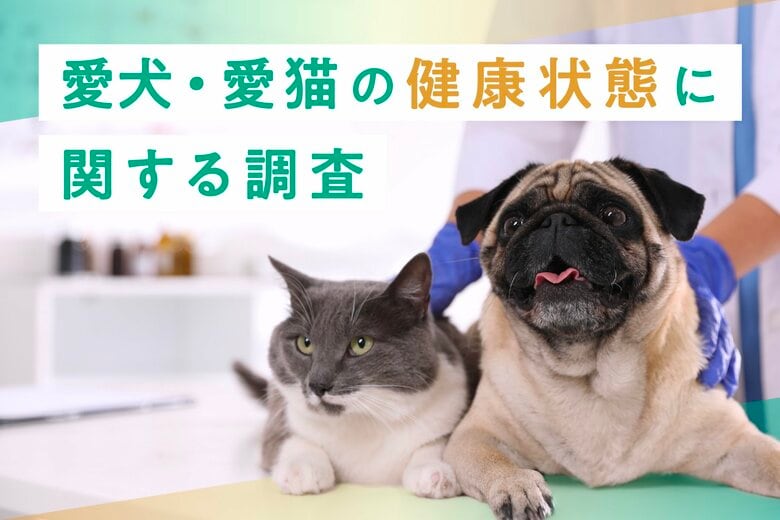 【幼齢ペットは誤飲に注意】愛犬・愛猫の健康状態に関する調査
