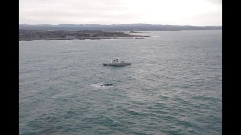 志賀町沖で転覆した木造船に「ハングルと数字」の記載 海岸では身元不明の男性遺体も発見｜FNNプライムオンライン