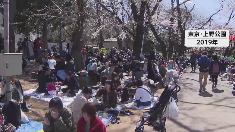 都立公園での花見宴会　4年ぶりに解禁　東京都、今年は自粛求めず｜FNNプライムオンライン