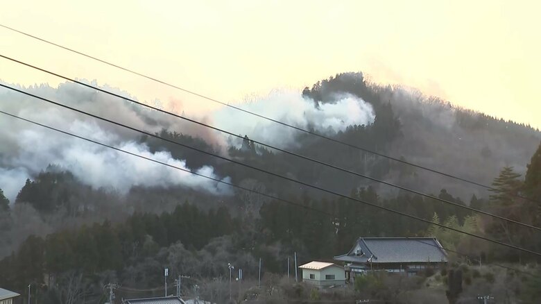 「どうして俺が早く助けに行けなかったんだろう」火の手に遮られ…90歳父と“無念の対面”　一部地域で避難指示解除も複雑な思い【大船渡市山火事】｜FNNプライムオンライン