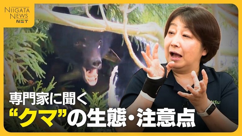 市街地での出没相次ぐクマ…遭遇時のNG行動は？被害者の3つの共通点「単独行動・早朝か夕方・音の出るもの不携帯」クマの生態・習性を専門家に聞く｜FNNプライムオンライン