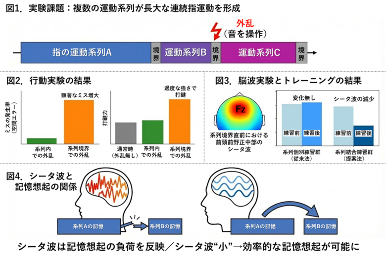 記憶した演奏動作の想起が不安定になる仕組みとそのトレーニング法を発見