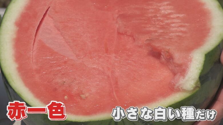 スイカも“種ごと食べられる”時代に! 栽培成功の裏に『世界で唯一の花粉』技術 海外流出の心配もなし【福岡発】|FNNプライムオンライン