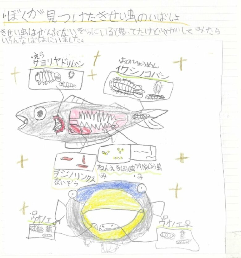「ぼくが見つけたきせい虫のいばしょ」
