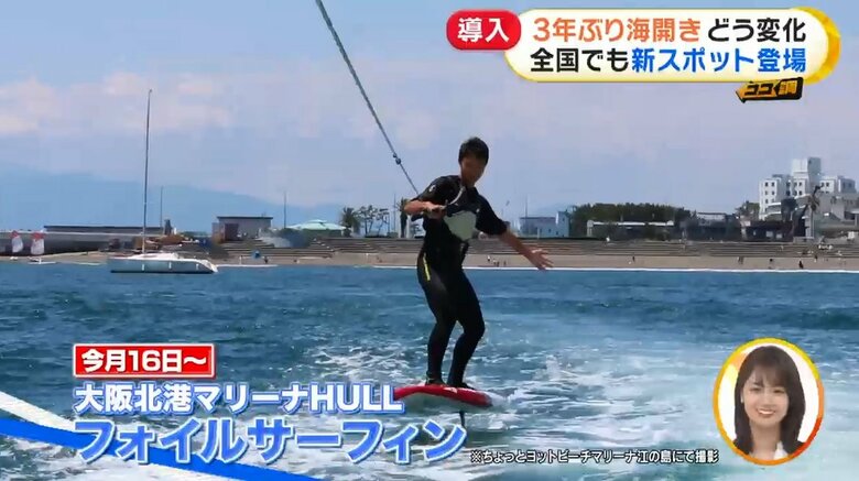 ※画像は「ちょっとヨットビーチマリーナ江の島」にて撮影されたもの