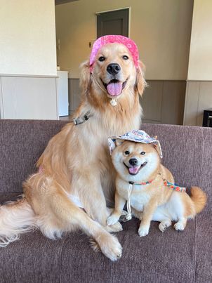 提供：うにandおからさん