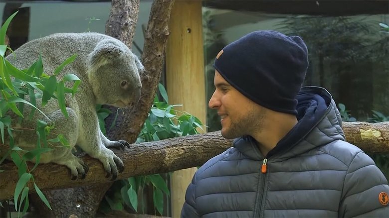 赤ちゃんコアラの“お世話役”はプロテニス選手 オーストリア