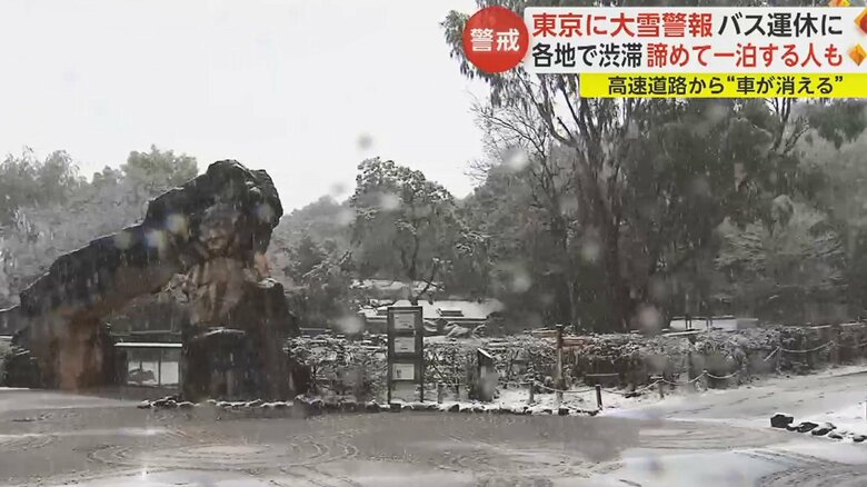 あたり一面が白く染まった「よこはま動物園ズーラシア」