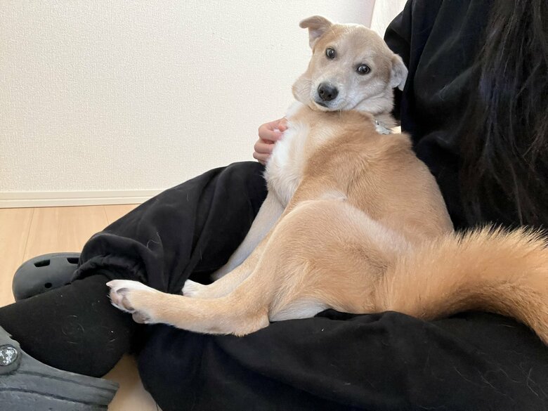 提供：あさぎさん