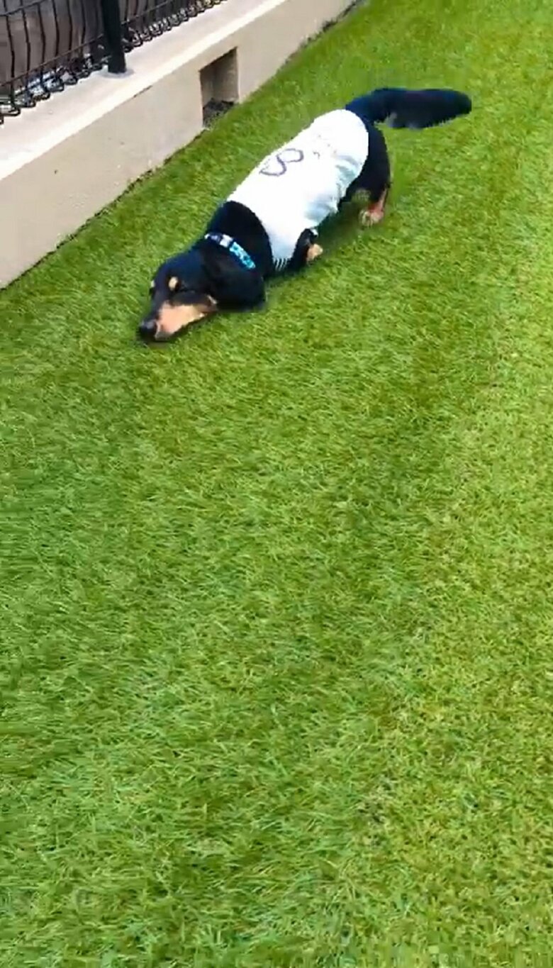 スリスリしながら進むえいとくん