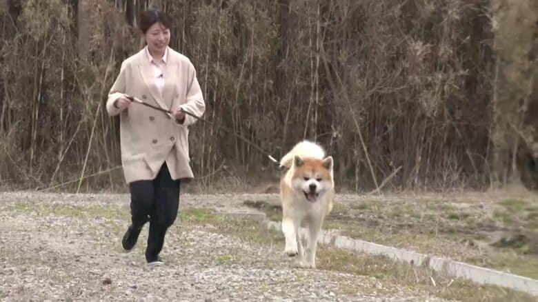 「名犬」 途中丸くんと散歩を体験