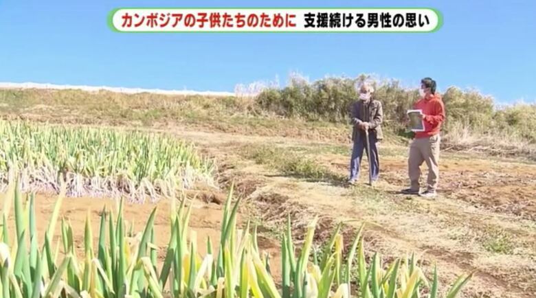 三島市の有機栽培の畑