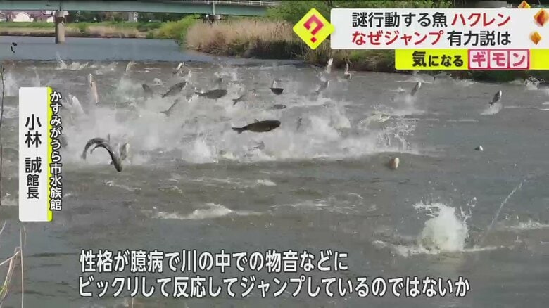 （FNN投稿サイト「ビデオPost」）