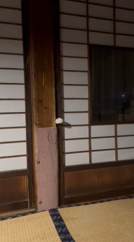 提供：いのうえもんぺさん